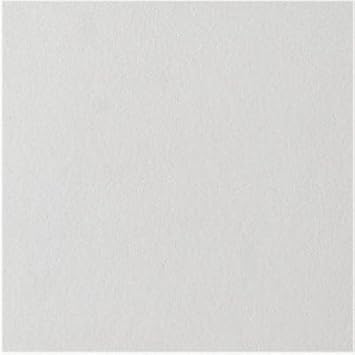 CEILING TILE 1X1' by USG MfrPartNo 824290