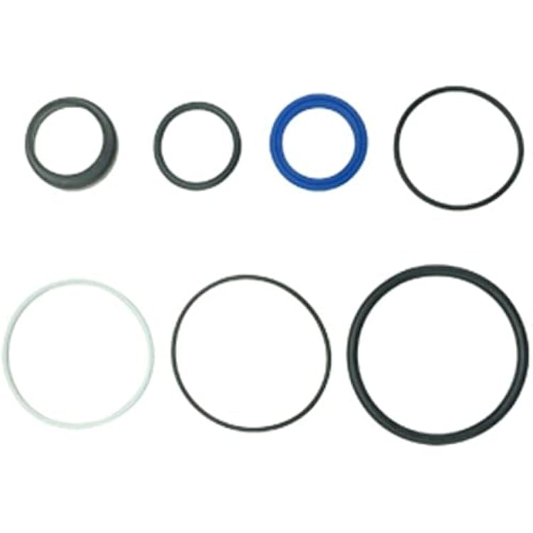 ACTIVLIFE for 1749798M91 Power Steering Cylinder Seal Kit Fits for Massey Ferguson