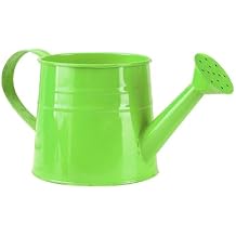 0.3 Gallon Metal Long Spout Mini Watering Can with Sprinkler Head and Handle,Plant Watering Can for Flower Garden Bonsai House Indoor