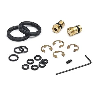 Ralston DPPV-REPK Repair Kit with Check-Valves for DPPV Hand Pumps