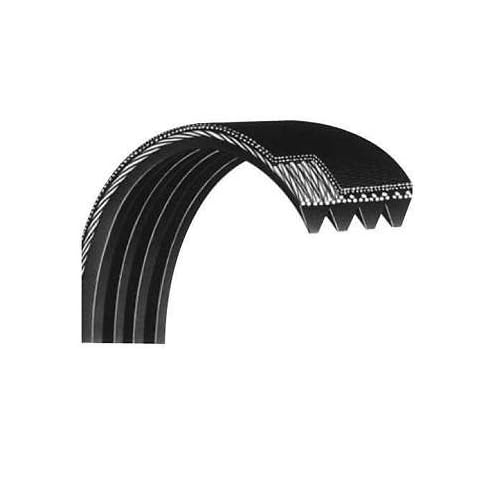 H.F Exchange Main Motor Drive Belt 26 10 Ribs - ST260L10r High Strength Rubber Good Tension V-Belts Micro V Motor Belt OEM Equipment Replacement Part for Treadmill Works with Star Trac