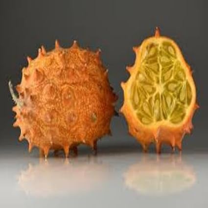 Kiwano Melon Fruit Seeds 100pcs Orange