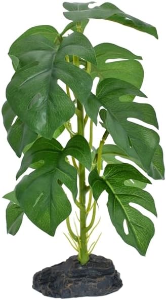 Standing Monstera by Komodo