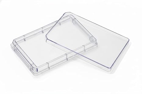SPL Tray Plate Single Well Plate,PS,TC Treated, Sterile to SAL 10-6, Case of 50