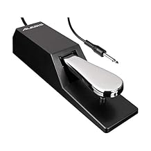 Alesis, Accordion Accessory (ASP2)