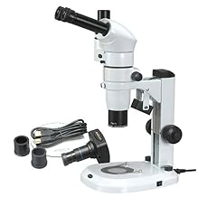 AmScope PM240T-10M Digital Trinocular Common Main Objective Stereo Zoom Microscope, WH10x Eyepieces, 8X-80X Magnification, 0.8X-8X Zoom Objective, Pillar Stand, 100V-240V, Includes 10MP Camera with Reduction Lens and Software
