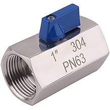 DERNORD Mini Ball Valve - Stainless Steel ball valve NPT Thread (1" Female&Female)