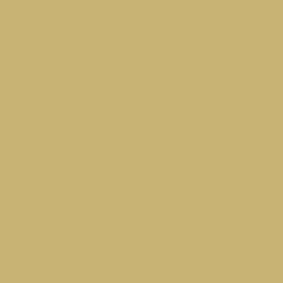 Pantone TPG 8.5X11 Sheet 16-0836 Rich Gold