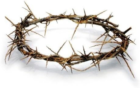 Holy Land Imports Passion of Christ Crown of Thorns/Authentic Crown of Thorns  in Gift Box with Description
