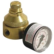 Pressure Regulator,1/4 in,0 to 125 psi