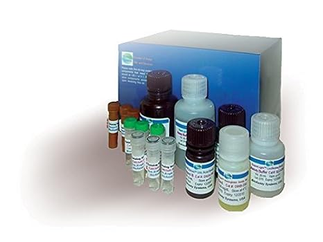 Diamine Oxidase Assay Kit (QFDO-100)