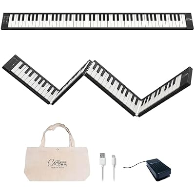 Carry-on Folding Piano 88 Touch - Ultra-Portable -Sized with 128 Voices, USB & MIDI over Bluetooth Connectivity - Travel Piano Keyboard Perfect for Practice, Travel, and Performances - Black