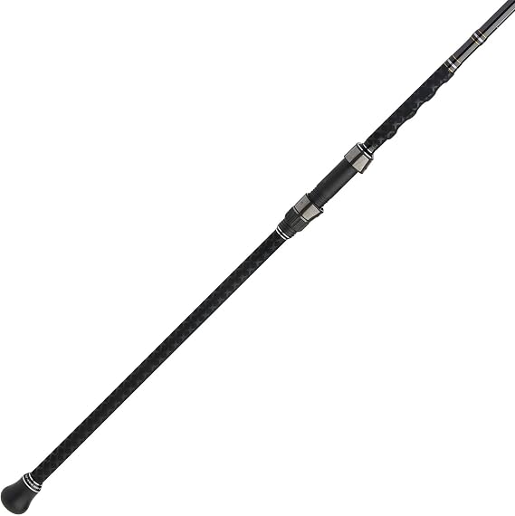 PENN Carnage III Surf fishing glass