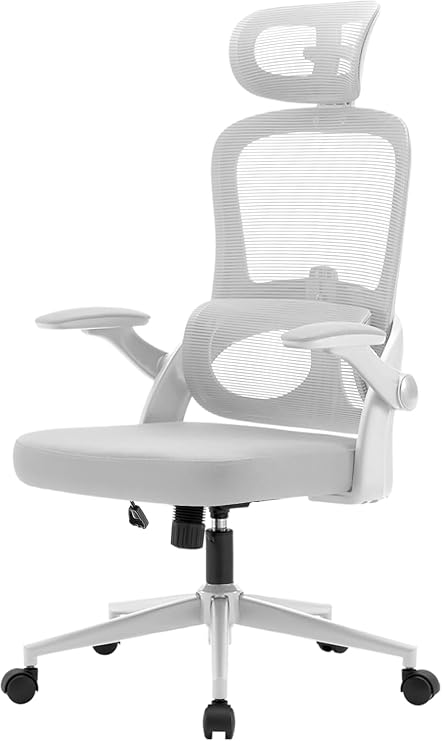 SIHOO M102C Ergonomic Mesh Office Chair, 3D Armrests, High Back