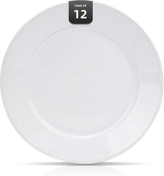 Wide Rim Bone China Commercial Grade Restaurant Plate, Elegance White Plate 10.5", Case of 12