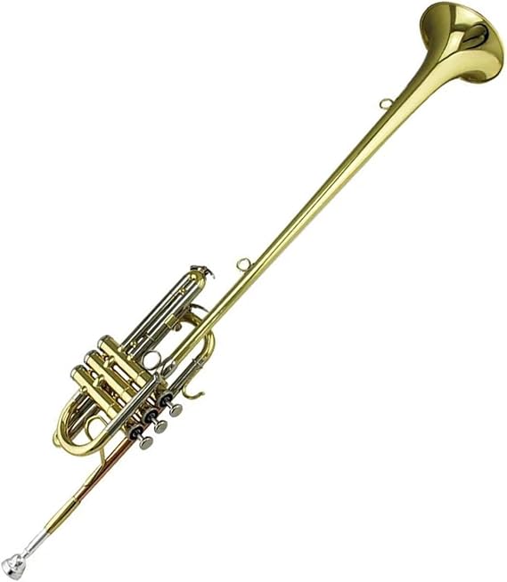 Trumpet Sets Tone Bb Brass Body Herald Trumpet