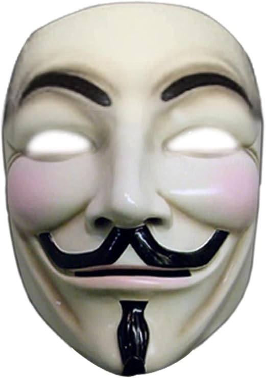 V For Vendetta Collector'S Edition Mask Costume
