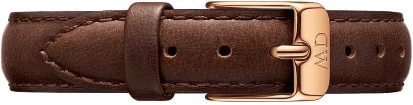 Daniel Wellington Petite Bristol Italian Leather Watch Band