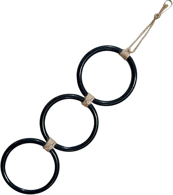 Snake Climbing Rings for Ball Python Enrichment Toys for Corn Snake Cage Habitat Decoration Accessories Terrarium, Bearded Dragon, Parrot (1pcs)