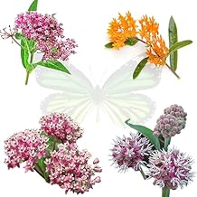 Milkweed Seeds Variety Pack Butterfly, Common, Showy & Swamp Milkweed 100% Non-GMO Wildflower Seeds for Monarch Butterflies Perennial Pollinator Garden Favorites USA Grown