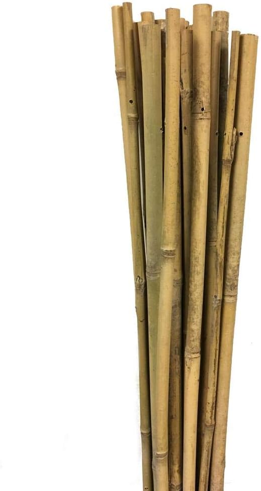 Gardener 63717 Bamboo Support Bar 10 Pack - 12-14 Mm X 150 Cm