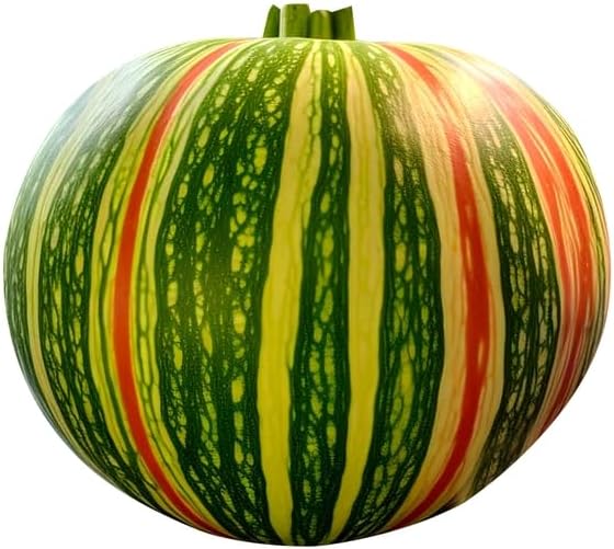 Kajari Melon Fruit Seeds for Planting (10 Seeds) - Unique Exotic Stripes Sweet Honeydew-Like Flavor Unique Small Garden Melons Non-GMO Seeds