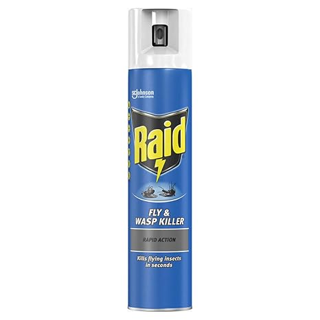 Raid Rapid Action Fly & Wasp Killer 300ml, Fly Killer Spray For Indoor Use (Choose from options)