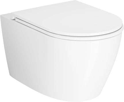 Wall Hung Toilet, Wall Mounted Toilet with D Shaped Bowl, Soft Closing Seat, Power Flush, Tankless, White