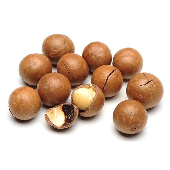 Macadamia Nuts - In the Shell - 5 lb.