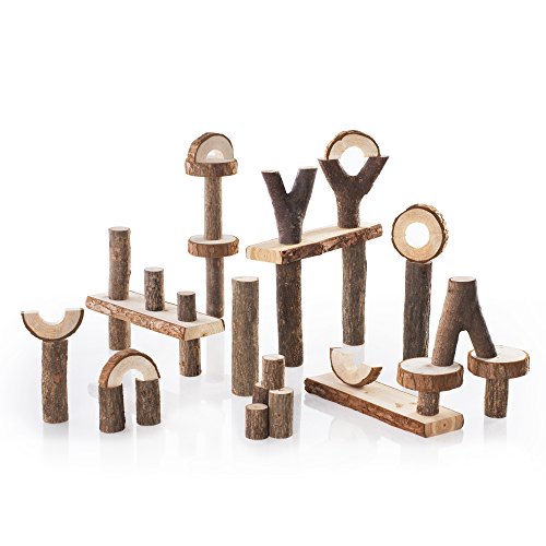 Guidecraft Branch Blocks - 36 Piece Kids Natural Wooden Unit Building Set, Tree Block Stacking Sorting Toy for Toddlers