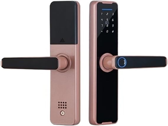Tuya Smart Door Lock Digital Electronic Fingerprint Biometric Bluetooth Remote Unlock IC Card Keyless(22x220 5050)
