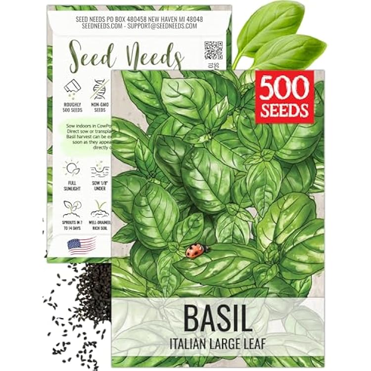 Seed Needs Basil Seeds for Planting Italian Large Leaf Herbs - Non-GMO Heirloom & Untreated - Grow an Indoor or Outdoor Home Grown Herb Garden 1 Pack