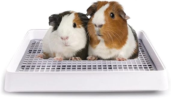 Guinea Pig Litter Pan with Grate, Small Animal Litter Box for Cage, Bunny Restroom Litter Tray Toilet Potty Trainer for Ferret Chinchilla Rat