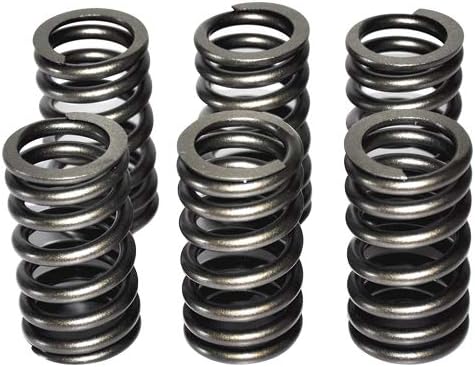 Valve Spring 3916691 for cummins diesel engine(6PCS)