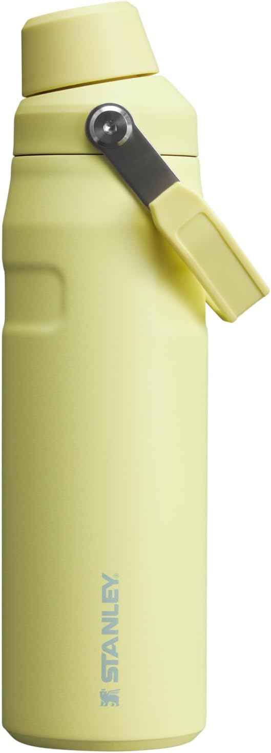 Stanley IceFlow Fast Flow Water Bottle 24 oz | Angled Spout Lid | Lightweight and Leakproof for Travel and Sports | Insulated Stainless Steel | BPA-Free | Pomelo