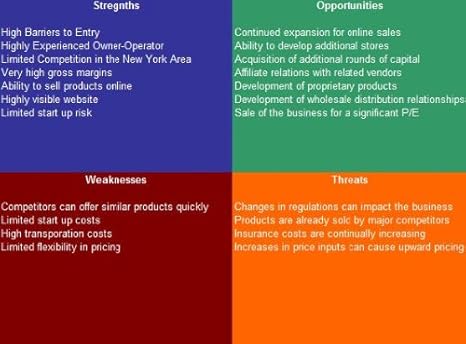 TV Repair Service SWOT Analysis Plus Business Plan