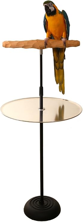 Parrot Training Perch Stand with Potty Tray