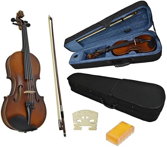 1/4 Size Violin for Beginners & Practice with Case by Sotendo