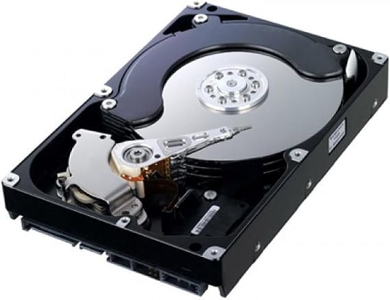 Hitachi Deskstar 7K1000.C 1TB 3.5 Inch SATA Internal Hard Drive