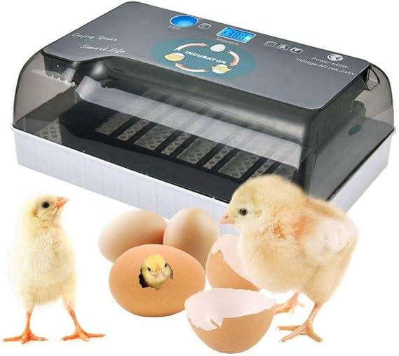 Automatic Incubator, Automatic Hatching Machine, Small Hatching Egg, Egg Hatcher, Incubator, For Birds Dedicated to Birds, Automatic Egg Hatcher, Automatic Temperature Control, Easy Operation, Low