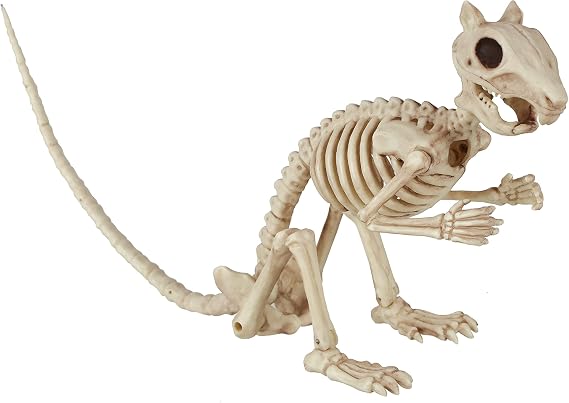 Crazy Bonez Skeleton Squirrel 7" Halloween Skeleton Animal Decoration | with Bendable Tail, Durable All-Weather Plastic, Realistic Bone Detail for Indoor Outdoor Spooky Decor and Garden Displays