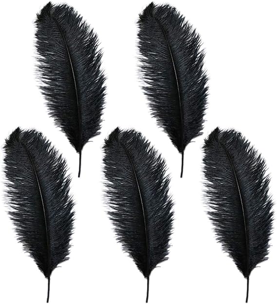 Rgontar 10-12 inches Black Ostrich Feather,Large Natural Ostrich,Plumas para Decoraciones for Home Decor Party Wedding Decorations, Pack of 5 (Black)