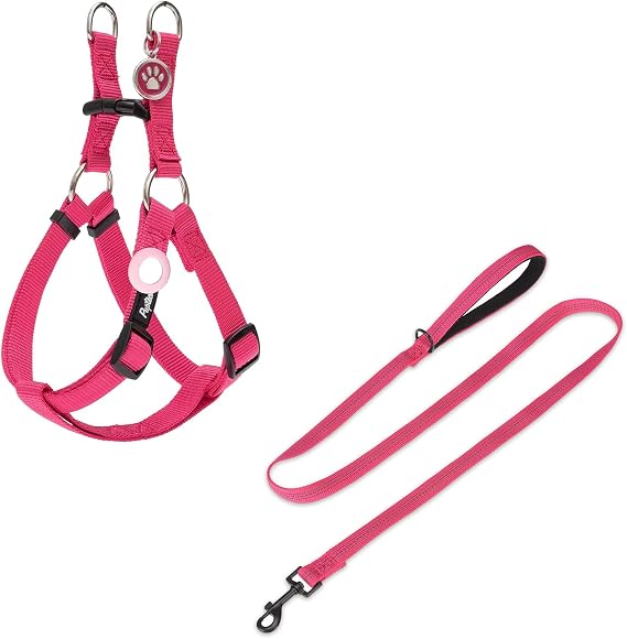 PUPTECK Dog Harness and Leash Set