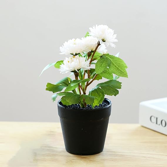Ziosxin Artificial Hydrangea Bouquet Silk Hydrangea Flower with Vase Flower Decor Arrangements for Table Home Party Office Wedding Spring Decoration (Beige)
