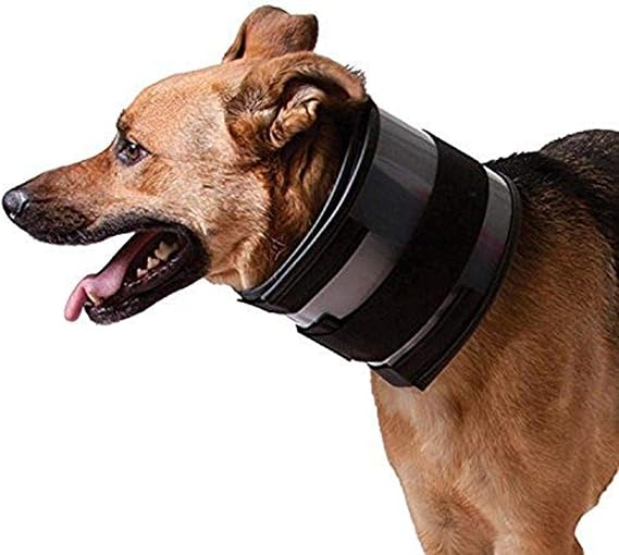 KVP Bite Free Collar Fits 11"-15" Neck, 2.5" Width