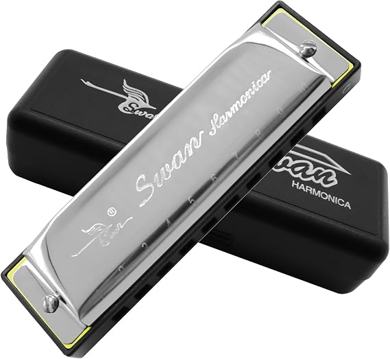Harmonica Armonica Mouth Organ Blues Harmonica Key of C 10 Hole 20 Tone Polyphony Diatonic Harp for Blues Folk Jazz Pop Music Instrument Gift
