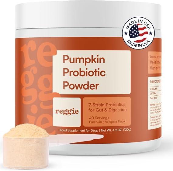 Reggie Pumpkin Probiotic Powder for Dogs | 7-Strain Probiotics + Pumpkin for Gut Health, Digestion & Stool Consistency | Natural Dog Digestive Supplement | Vet-Approved & Made in USA | 40 Scoops