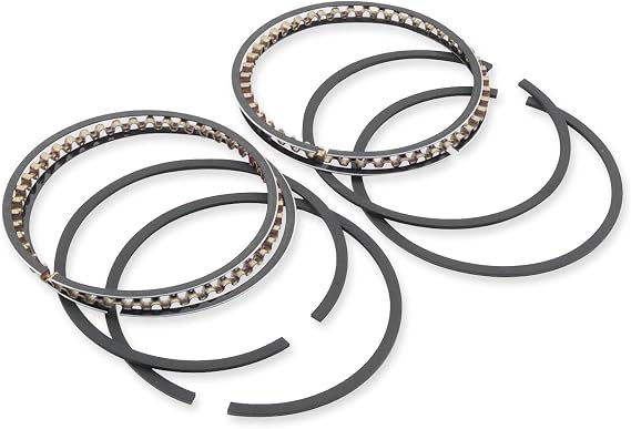 Hastings Piston Ring Set 6482030