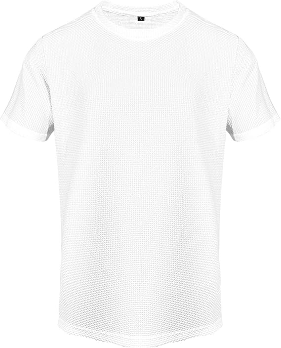 Men's Mesh Knit T-Shirt Short Sleeve Crew Neck Breathable Casual Slim Fit Lightweight Summer Tops for Men