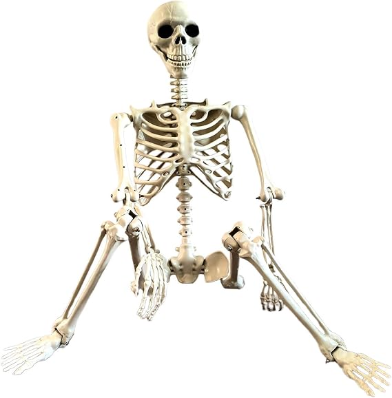 90cm Realistic Halloween Human Skeleton Full Body Movable JointsSkeleton